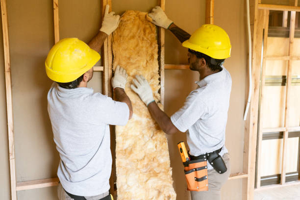 Best Insulation Replacement Services  in Oklahoma, PA
